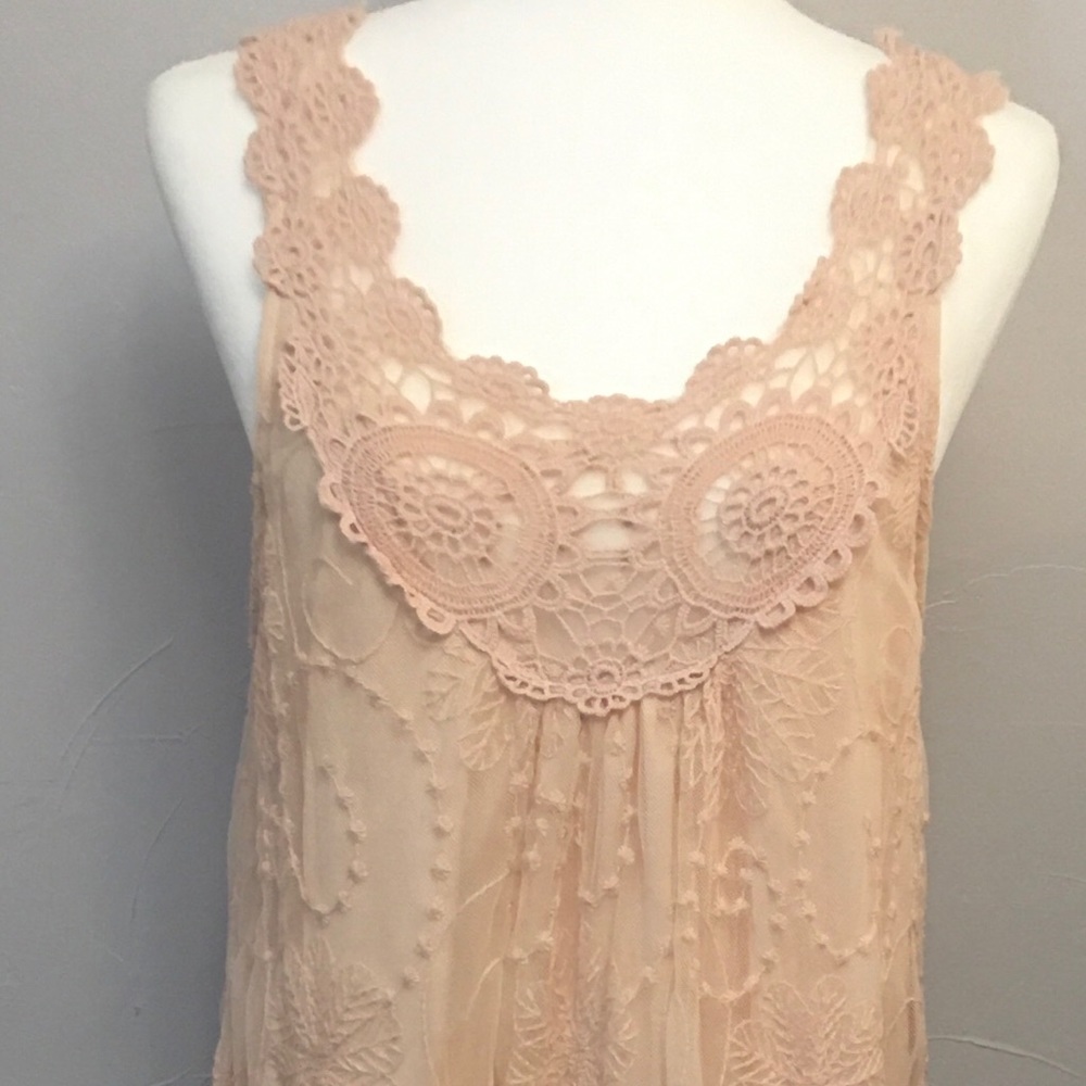 🌸Pink Vintage Inspired Lace Dress XL!